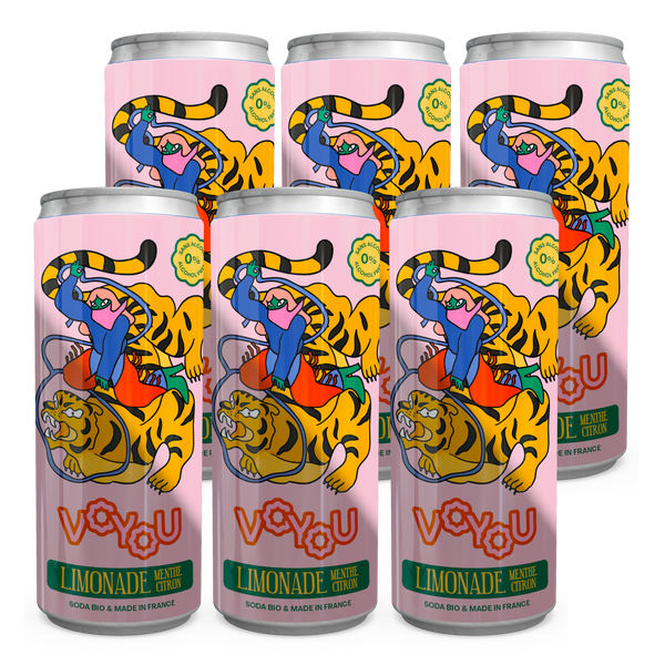 Pack de 6 Limonade menthe & citron Voyou - 25cl