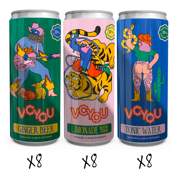 Super pack 24 canettes Voyou - 8x Tonic, Limonade et Ginger beer - 25cl