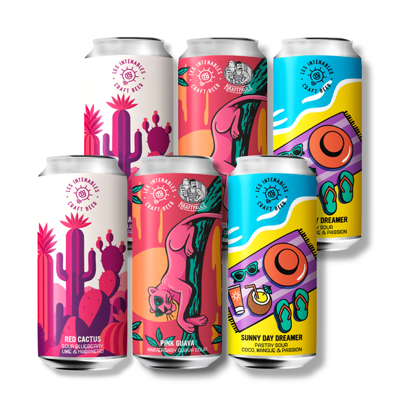 Pack Fruit Addict - 100% bières fruitées - 6x44cl