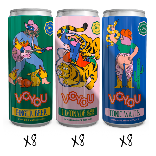 Super pack 24 Voyou cans - 8x Tonic, Lemonade and Ginger beer - 25cl